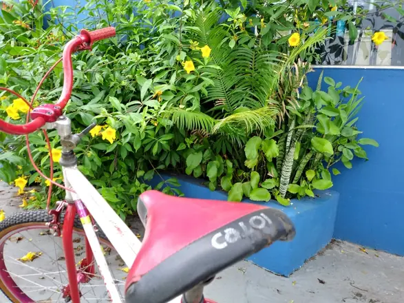 Foto da galeria da Erik’s Bike