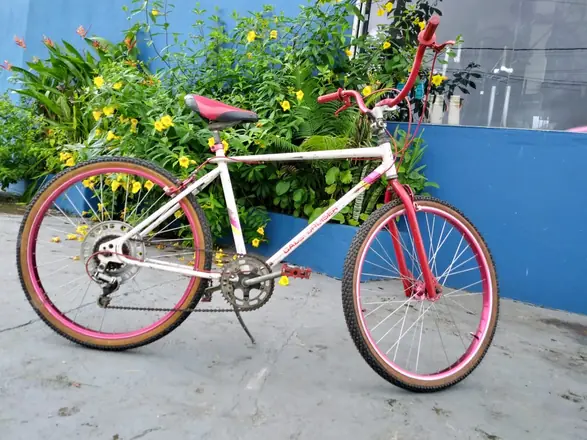 Foto da galeria da Erik’s Bike