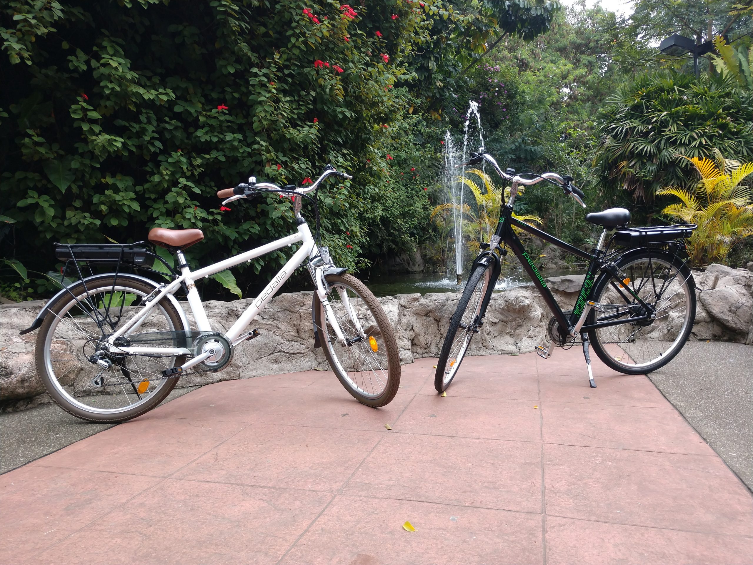 bicicleta elétrica pedalla
